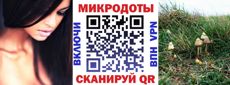 Псилоцибиновые грибы MAGIC MUSHROOMS цена наркотик Ковров